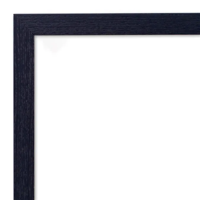 Frame Option